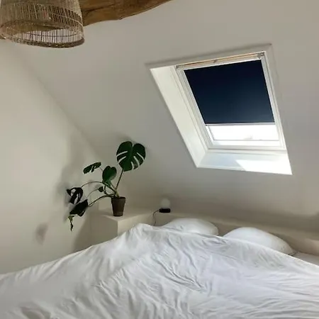 Appartement Cosy Et Lumineux Au Coeur De Montreuil Montreuil  Extérieur photo