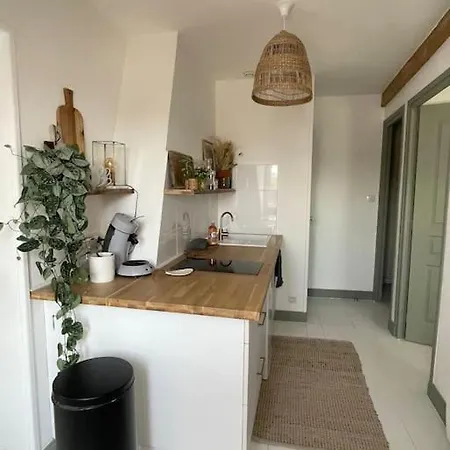 Appartement Cosy Et Lumineux Au Coeur De Montreuil Montreuil  Extérieur photo