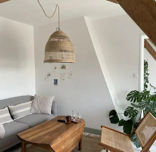 Appartement Cosy Et Lumineux Au Coeur De Montreuil