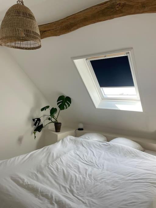 Cosy Et Lumineux Au Coeur De Montreuil Appartement Montreuil (Pas-de-Calais)