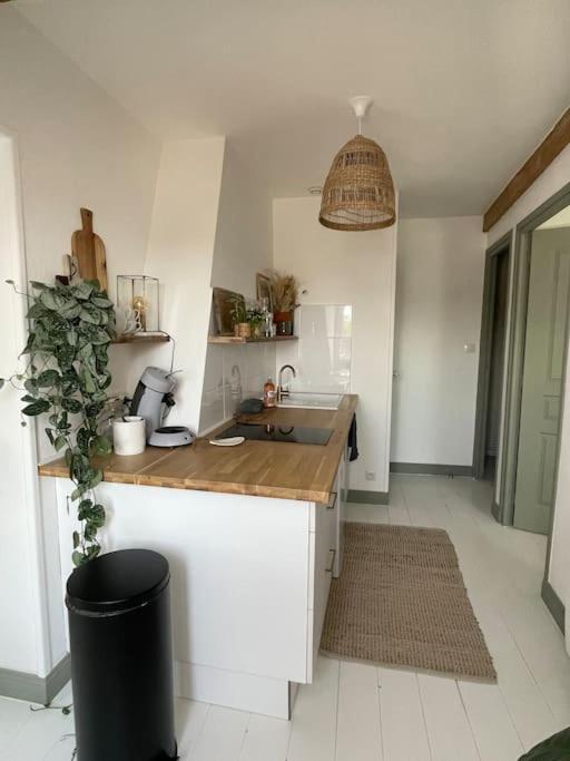 Cosy Et Lumineux Au Coeur De Montreuil Appartement Montreuil (Pas-de-Calais)