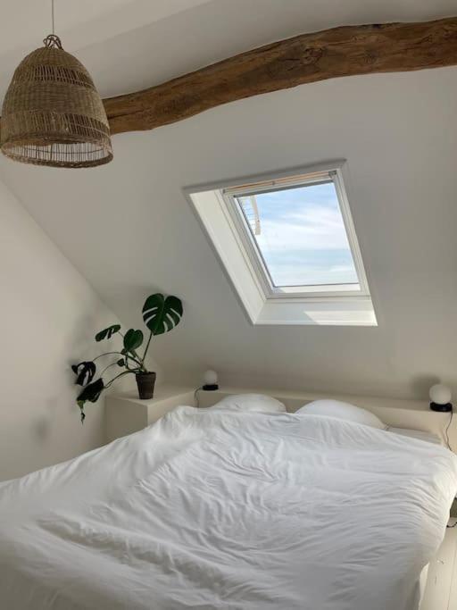 Cosy Et Lumineux Au Coeur De Montreuil Montreuil (Pas-de-Calais)